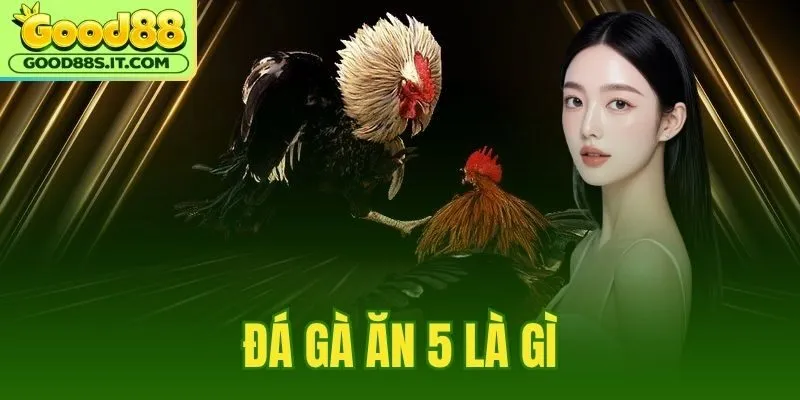 Đá Gà Ăn 5 Là Gì