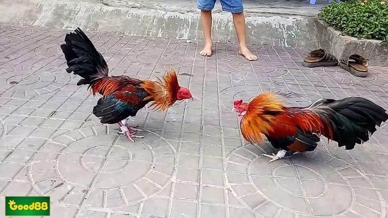 Cách phân định thắng thua trong trận đấu Cách phân định thắng thua trong trận đấu